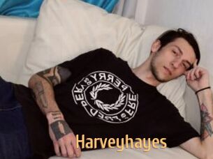 Harveyhayes