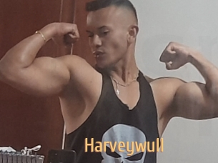 Harveywull