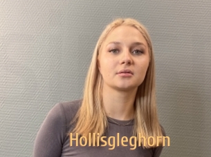 Hollisgleghorn