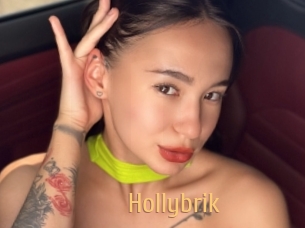 Hollybrik