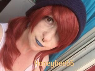 Honeybee66