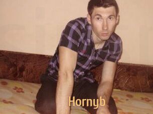 Hornyb