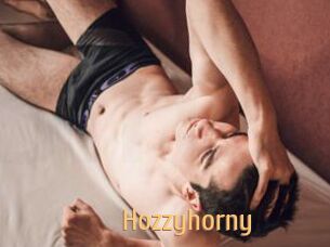 Hozzyhorny