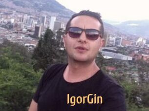 IgorGin