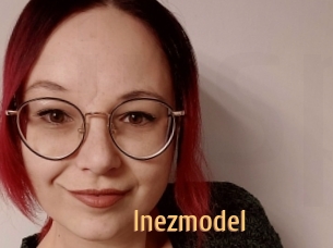 Inezmodel