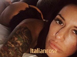 Italianrose