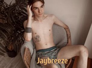 Jaybreeze