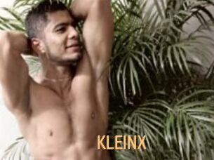 KLEINX