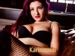 Karinasodi