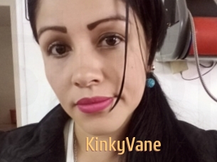 KinkyVane