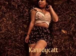 Kanndycatt