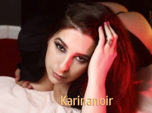 Karinanoir