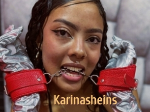 Karinasheins