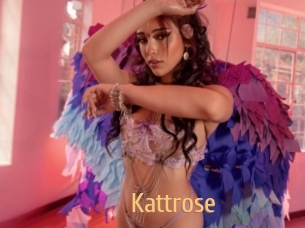 Kattrose