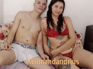 Keilinandandrius