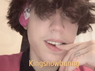 Kingsnowbunny