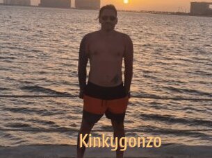 Kinkygonzo