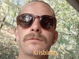 Krisbirdy