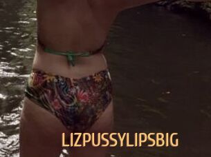 LIZPUSSYLIPSBIG