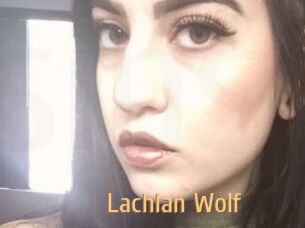 Lachlan_Wolf