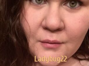 Ladybug22