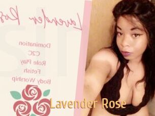 Lavender_Rose