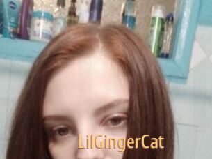 LilGingerCat