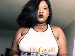 Lily_Cavalli