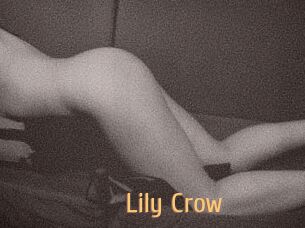 Lily_Crow