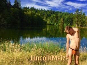 Lincoln_Maize