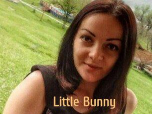 Little_Bunny_