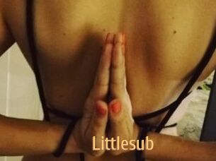 Littlesub