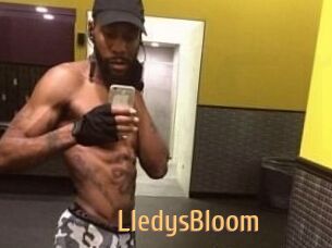 Lledys_Bloom