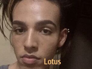 Lotus