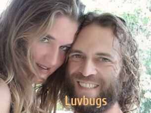 Luvbugs