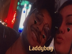 Laddybug