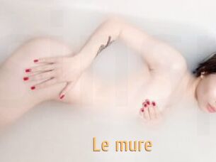 Le_mure