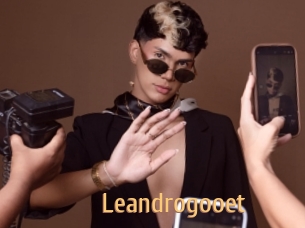 Leandrogooet