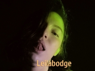 Leilabodge