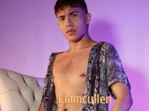 Liamcullen