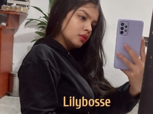 Lilybosse