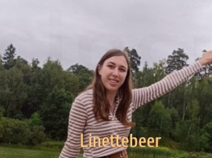 Linettebeer