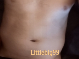 Littlebig99