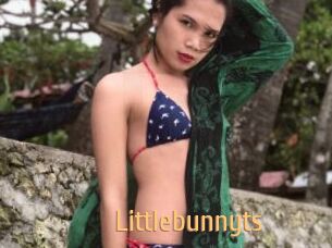 Littlebunnyts