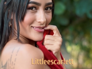 Littleescarlett