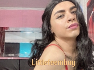 Littlefeemboy