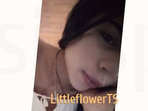 LittleflowerTS