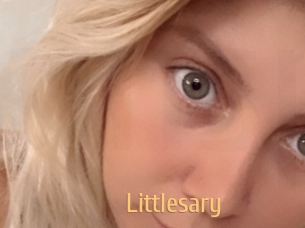 Littlesary