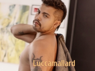 Luccamallard