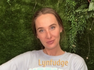 Lynfudge